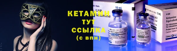 стаф Дмитриев
