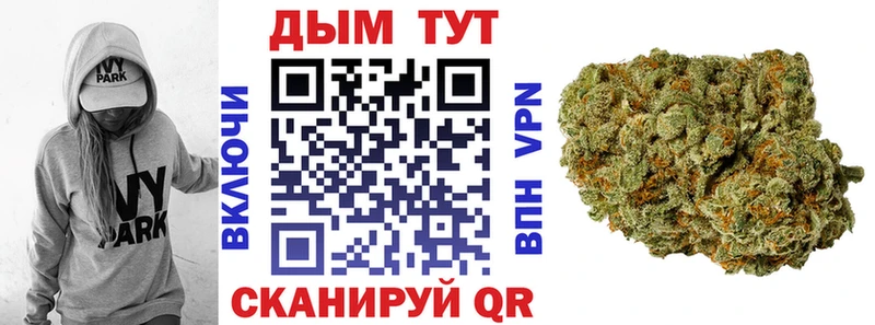 Бошки марихуана марихуана  Зверево 